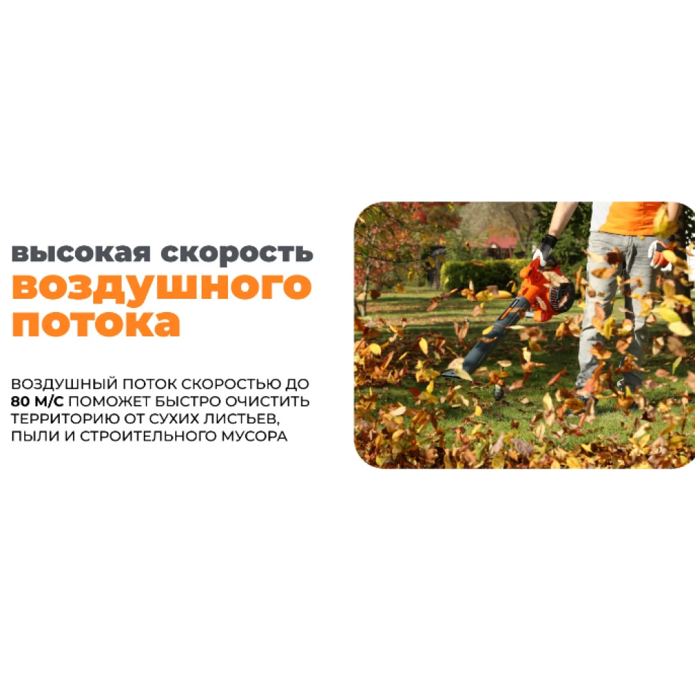 Воздуходувка Daewoo DABL 270 5