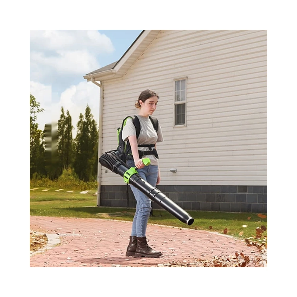 Воздуходувка Greenworks GD40BPG2 3