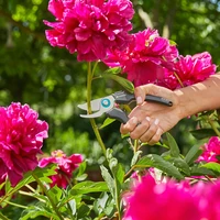 Секатор Gardena 12210-203