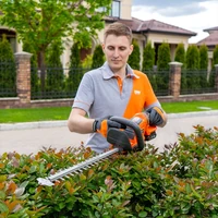 Кусторез Daewoo DAHT 1621Li SET11