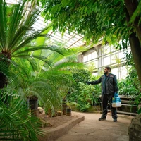 Опрыскиватель Makita DUS054Z5