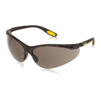 Очки DeWALT DPG58-2D1