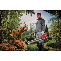 Воздуходувка Einhell Germany AG GP-LB 18/200 Li E (343355542)4