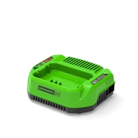 Зарядное устройство Greenworks 29320071