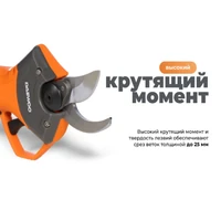 Секатор Daewoo DAGP 2516Li SET14