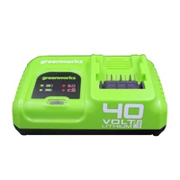 Зарядное устройство Greenworks G40UC5 (2945107)1