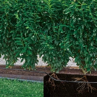 Комплект для полива Gardena 13501-204