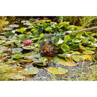 Очиститель Gardena 03230-204