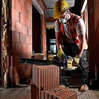 Пила "Аллигатор" DeWALT DWE397-QS2