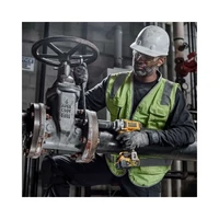 Гайковерт DeWALT DCF891P2LRT-QW5