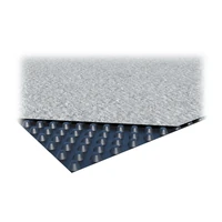 Профилированная мембрана TeMa ISOSTUD GEO (2х20 м)1