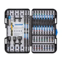 Набор бит Gedore 666-0422