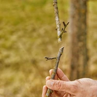 Секатор Gardena 12203-203