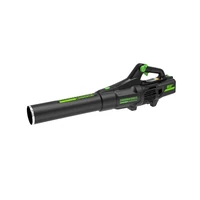 Воздуходувка Greenworks GD82ABIIK5 (82V с АКБ и ЗУ)1