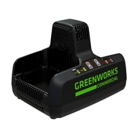 Зарядное устройство Greenworks G82C2 (2939007)1