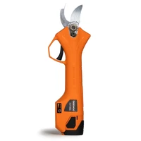 Секатор Daewoo DAGP 2516Li SET5