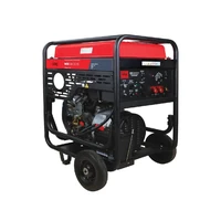 Электрогенератор Fubag WCE 300 DC ES1