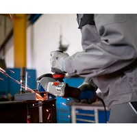 Углошлифовальная машина Bosch GWS 17-125 S2