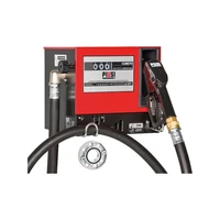 Топливораздаточная колонка Piusi Cube 70/33 M1