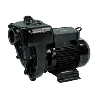 Насос Piusi E300 230V1