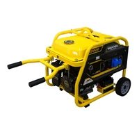 Электрогенератор SNIRREX 6500E1