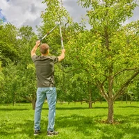 Сучкорез Gardena 12020-205