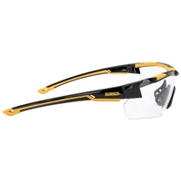 Очки DeWALT DPG110-1D3