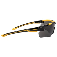 Очки DeWALT DPG110-2D3