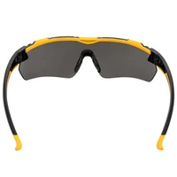 Очки DeWALT DPG110-2D4