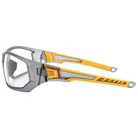 Очки DeWALT DPG112-1D3