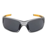 Очки DeWALT DPG112-2D2