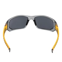 Очки DeWALT DPG112-2D4