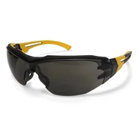 Очки DeWALT DPG108-2D1