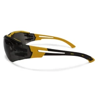 Очки DeWALT DPG108-2D3
