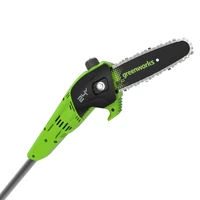 Высоторез Greenworks G24PS2012