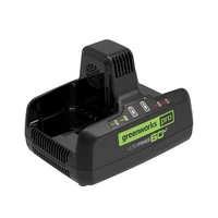Зарядное устройство Greenworks G60DC101