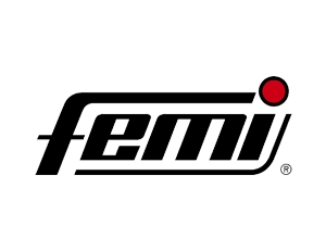 Femi Femi